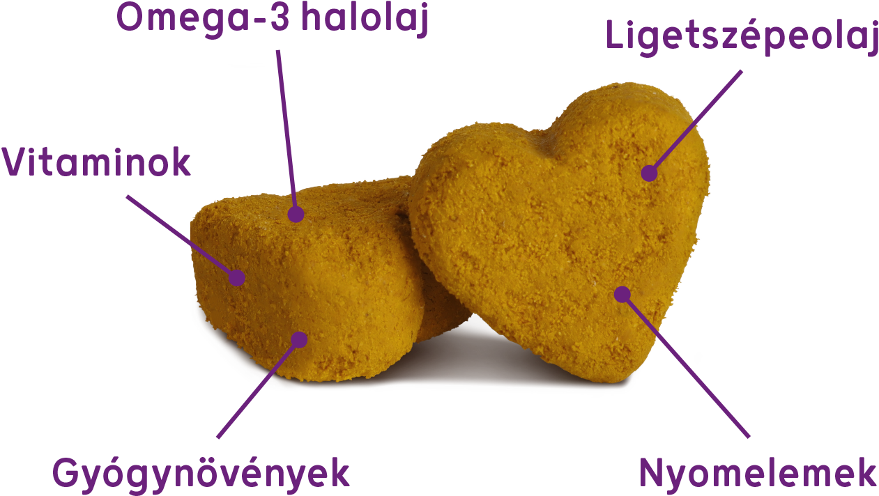 Dr-Dog-vitamin-allergySHIELD-45db-vitaminfalat-allergia-viszketes-erzekeny-bor-szor-tamogato-komplex-kutyavitamin-jutalomfalat-osszetevok2