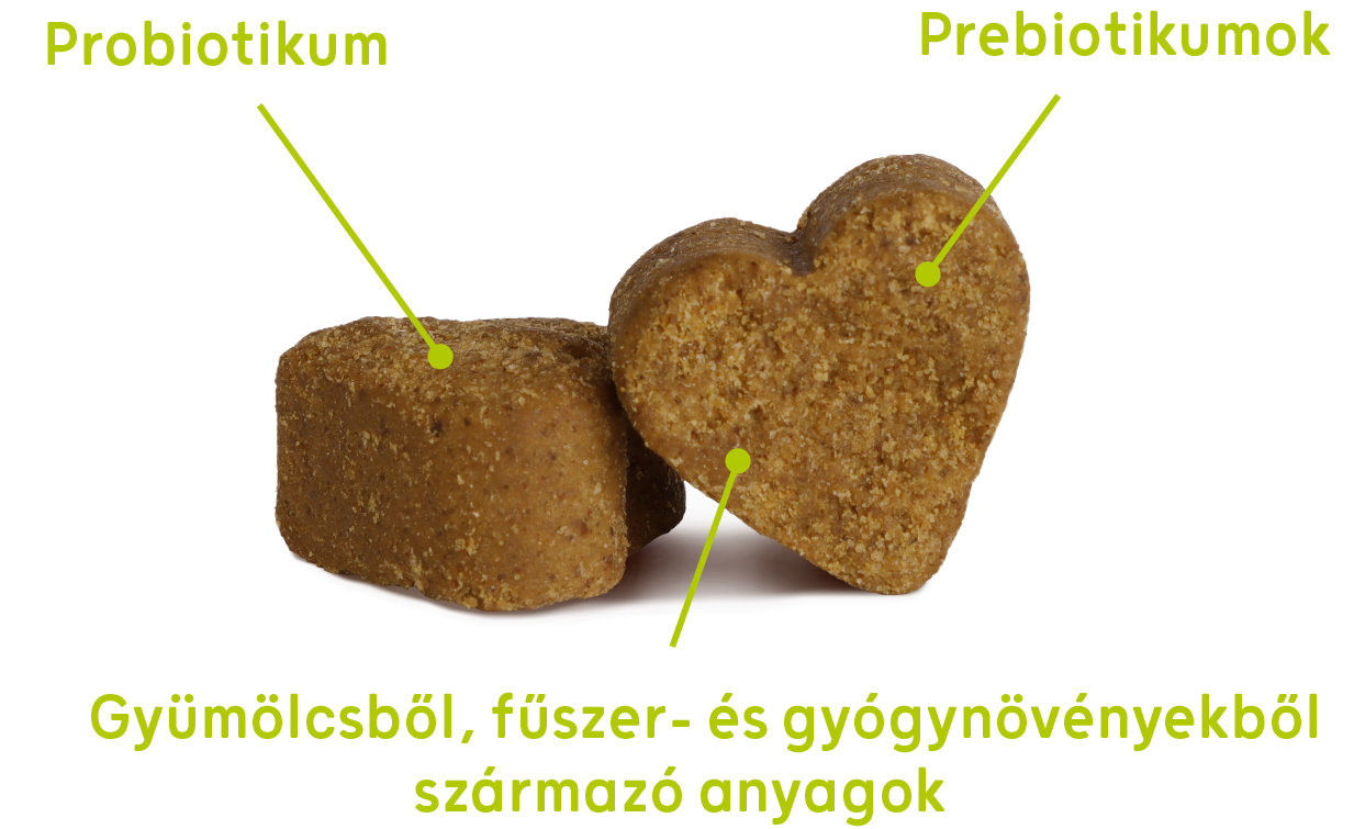 Dr-Dog-vitamin-easyDIGEST-45db-vitaminfalat-emesztes-optimalizalo-belflora-javito-probiotikum-prebiotikum-komplex-kutyavitamin-jutalomfalat-osszetevok