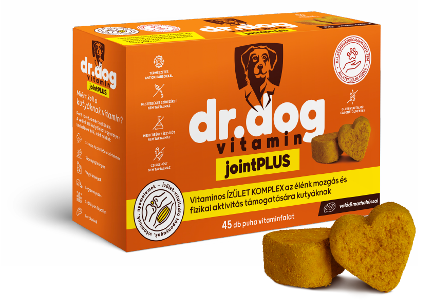 Dr-Dog-vitamin-jointPLUS-45db-vitaminfalat-izom-csont-izulet-mozgas-javito-komplex-kutyavitamin-jutalomfalat-bannerkep