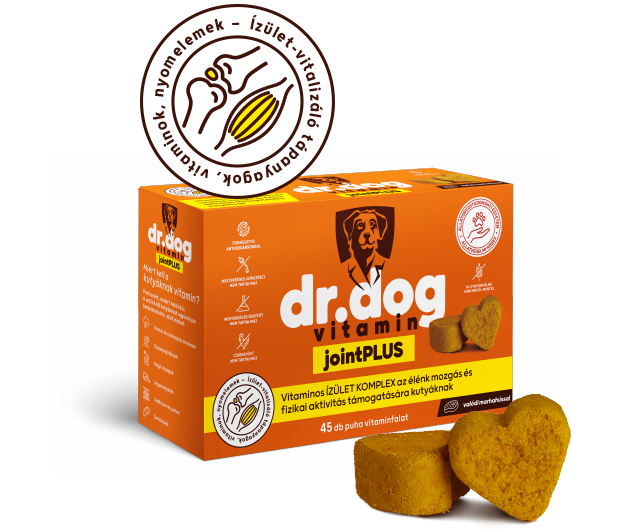 Dr-Dog-vitamin-jointPLUS-45db-vitaminfalat-izom-csont-izulet-mozgas-javito-komplex-kutyavitamin-jutalomfalat-product