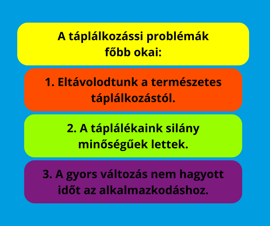 drdog-kutyavitamin-taplalkozasi-problemak-sarokpontjai-2abra