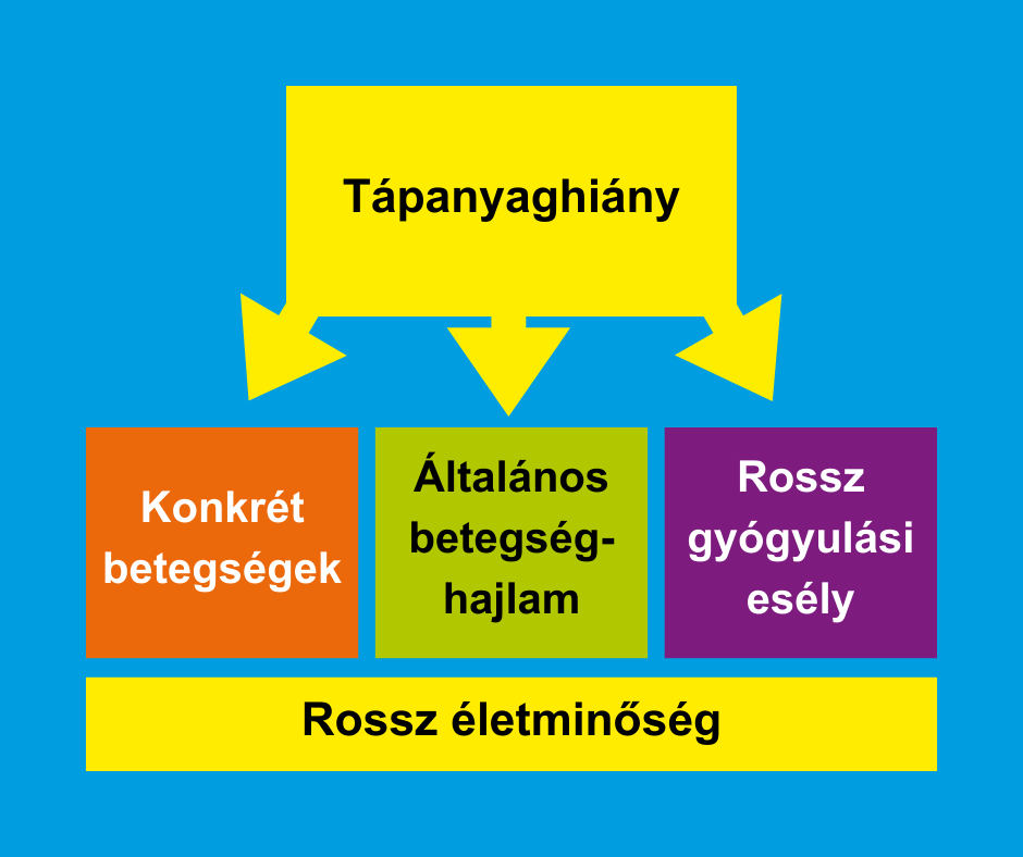 Tápanyaghiány ábra