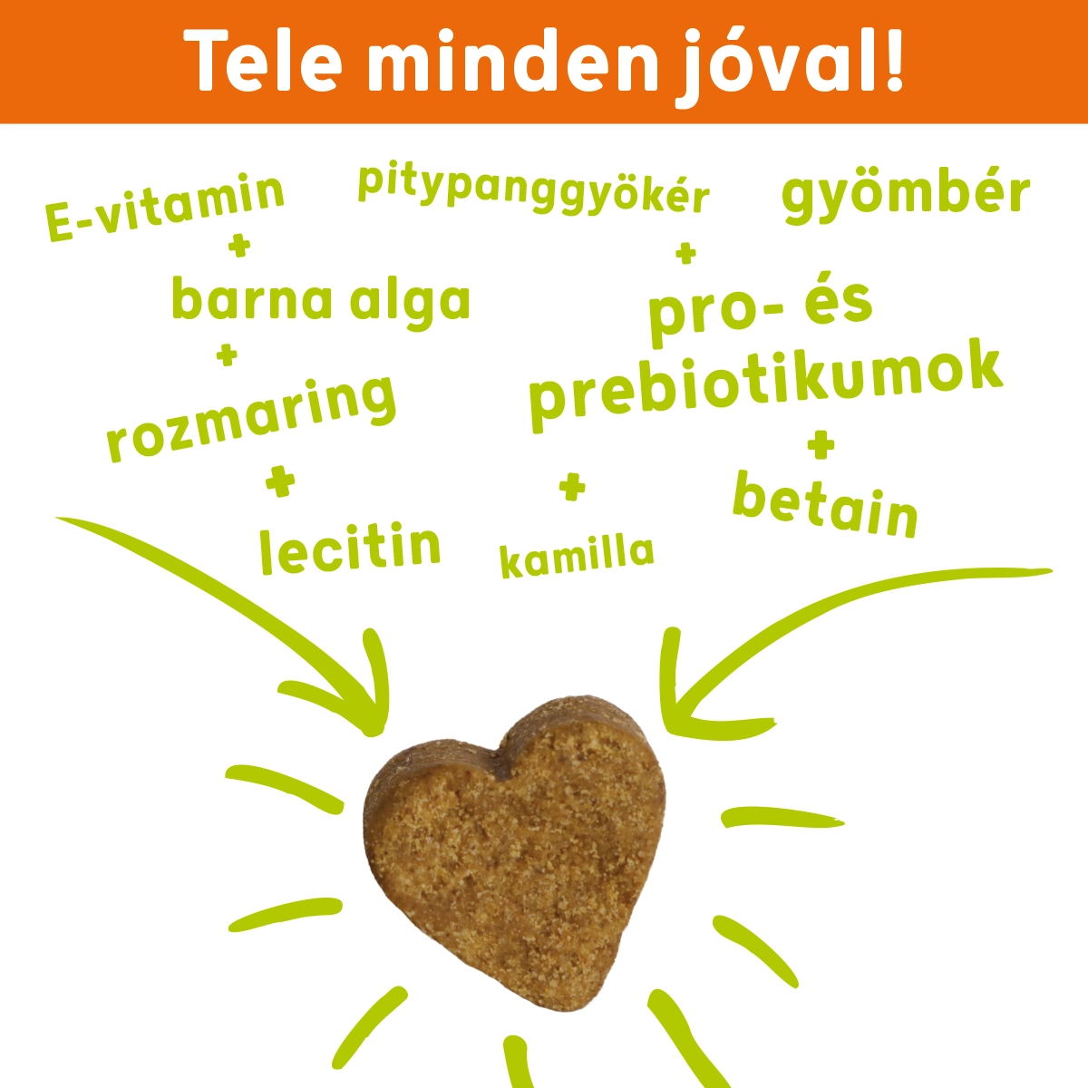 Dr-Dog-vitamin-easyDIGEST-45db-emesztes-optimalizalo-belflora-javito-probiotikum-prebiotikum-komplex-kutyavitamin-jutalomfalat