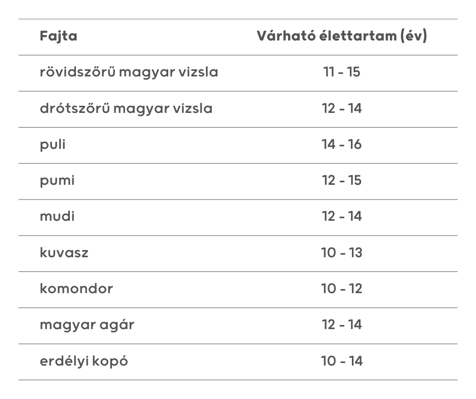 Fajta - várható élettartam