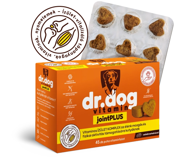 Dr-Dog-vitamin-jointPLUS-45db-vitaminfalat-izom-csont-izulet-mozgas-javito-komplex-kutyavitamin-jutalomfalat