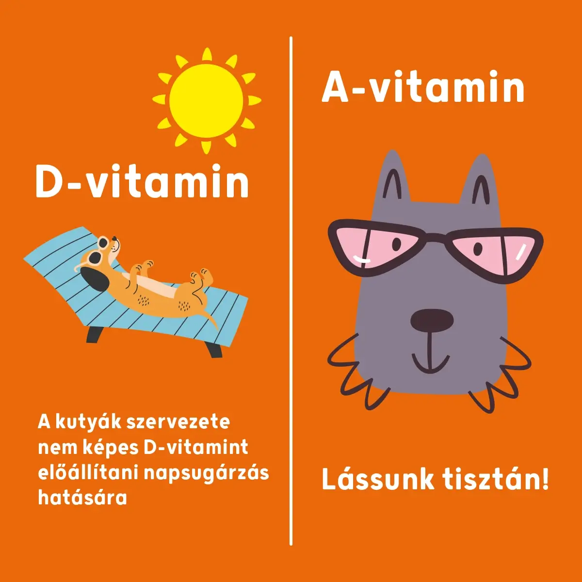 Dr. Dog Vitamin multiMAX multivitamin kutyavitamin funkcionális jutalomfalat vitaminfalat kutyák számára D-vitaminnal az erős immunrendszerért, csontokért és fogakért