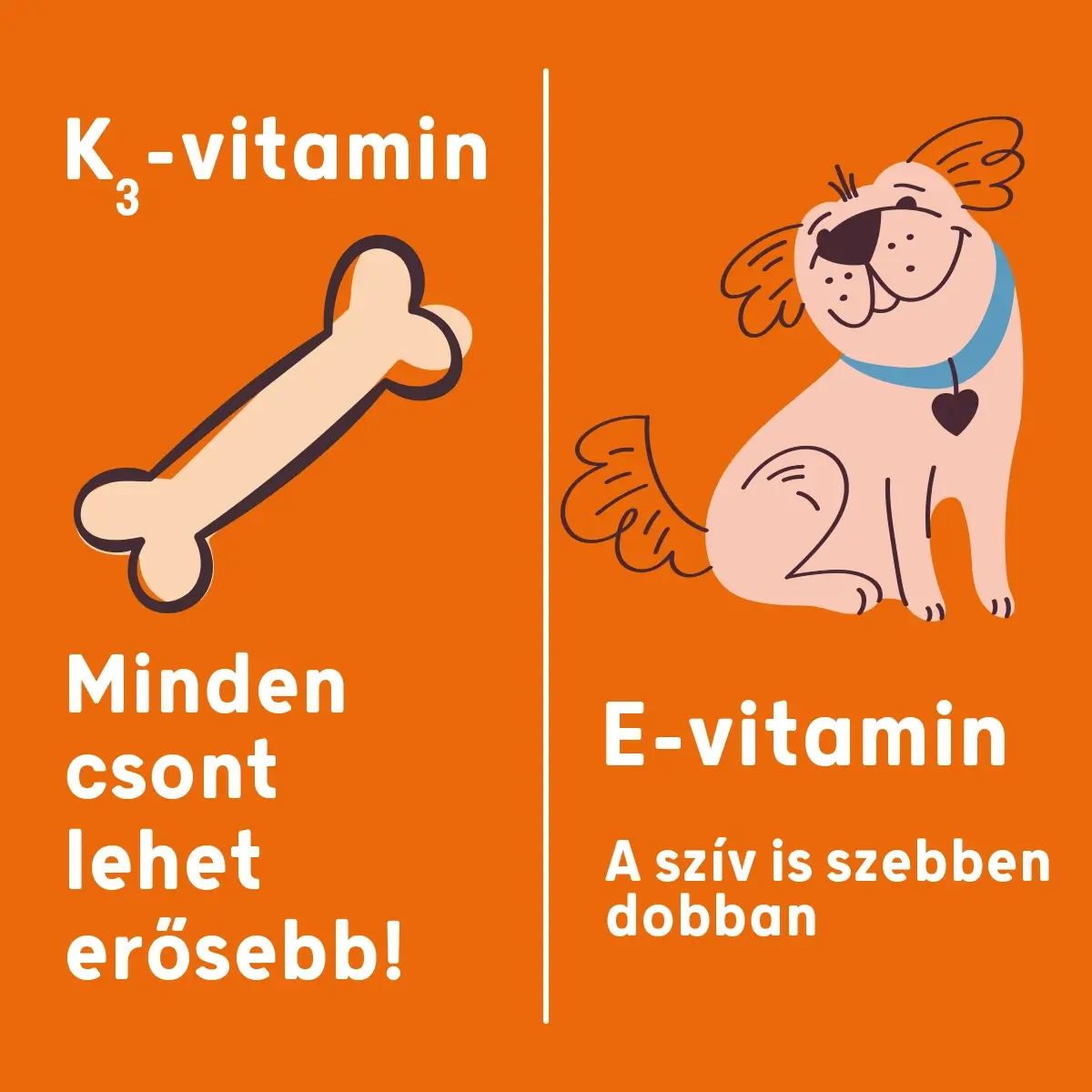 Dr. Dog Vitamin multiMAX multivitamin kutyavitamin funkcionális jutalomfalat vitaminfalat kutyák számára K-vitaminnal az erős csontokért és fogakért