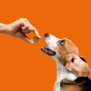 DrDogVitamin jutalomfalat