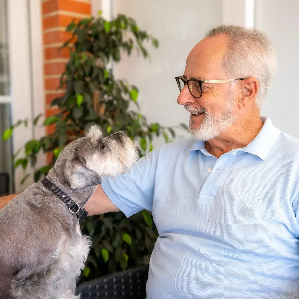 Dr. Dog Vitamin jointPLUS kutyavitamin vitaminfalat jutalomfalat ízületvédő